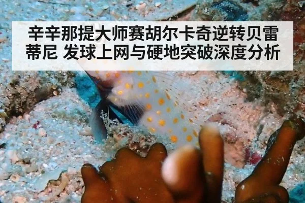 辛辛那提大师赛胡尔卡奇逆转贝雷蒂尼 发球上网与硬地突破深度分析